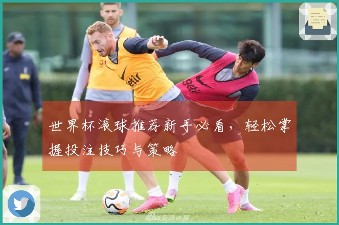 世界杯滚球推荐新手必看，轻松掌握投注技巧与策略