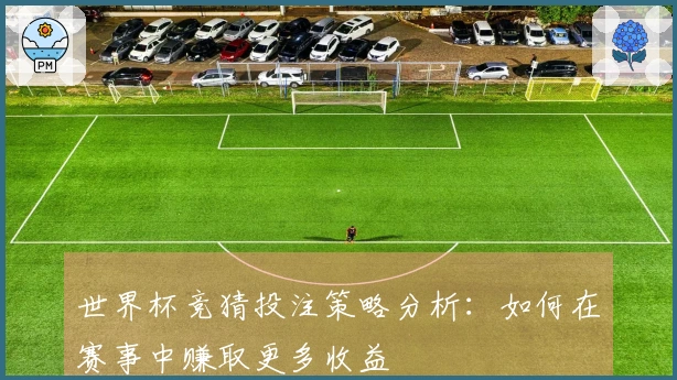 世界杯竞猜投注策略分析：如何在赛事中赚取更多收益