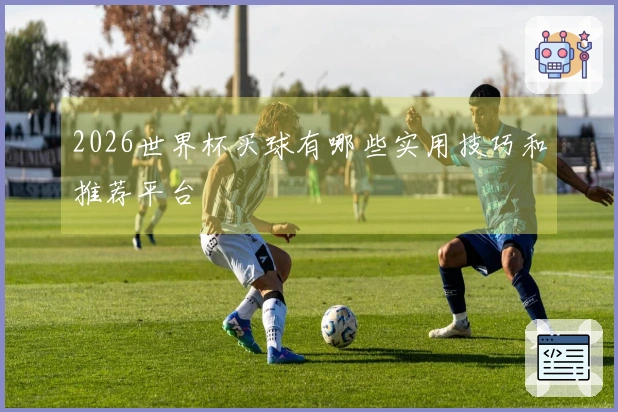2026世界杯买球有哪些实用技巧和推荐平台
