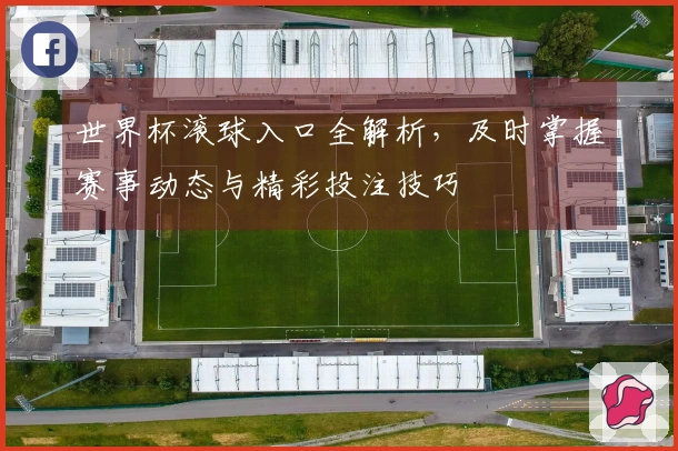 世界杯滚球入口全解析，及时掌握赛事动态与精彩投注技巧