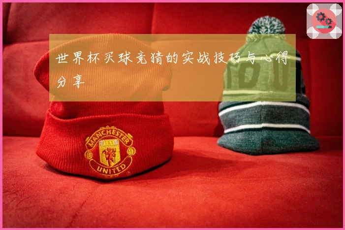 世界杯买球竞猜的实战技巧与心得分享