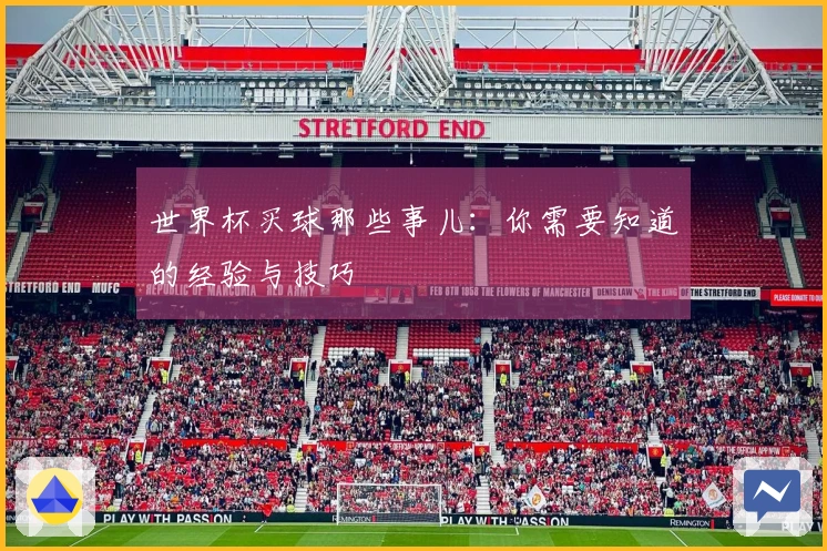 世界杯买球那些事儿：你需要知道的经验与技巧