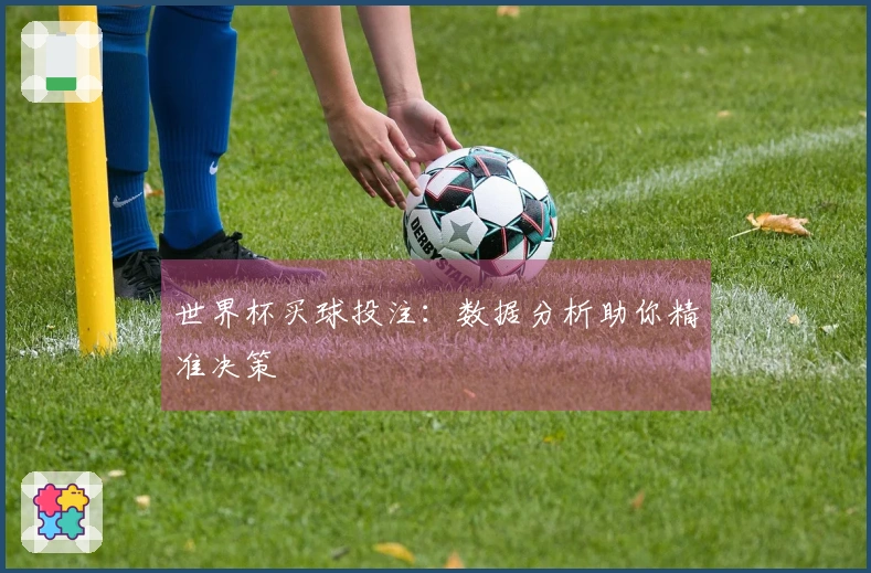 世界杯买球投注：数据分析助你精准决策
