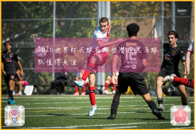 2026世界杯买球有哪些潜在黑马球队值得关注