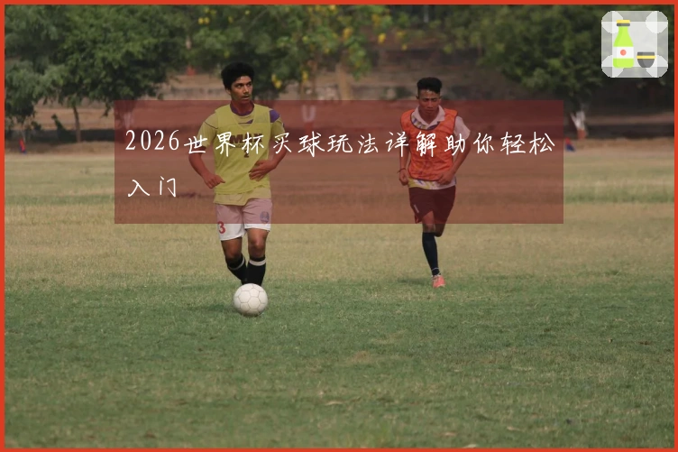 2026世界杯买球玩法详解助你轻松入门