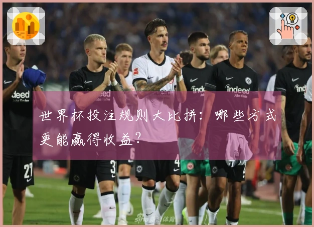 世界杯投注规则大比拼：哪些方式更能赢得收益？