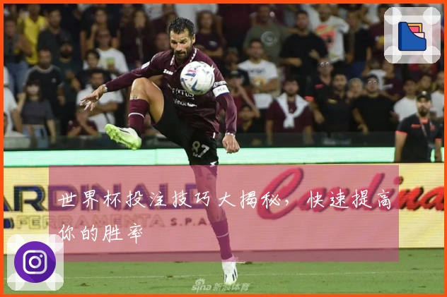 世界杯投注技巧大揭秘，快速提高你的胜率