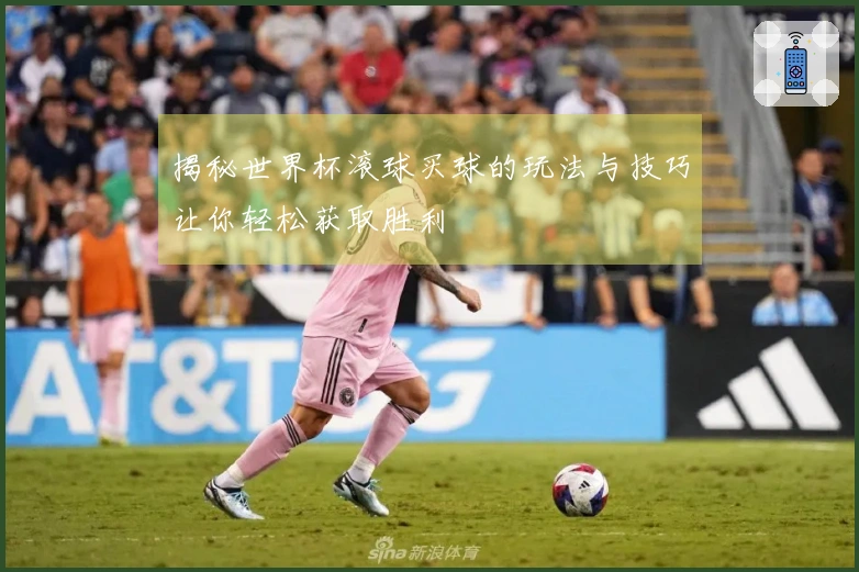 揭秘世界杯滚球买球的玩法与技巧让你轻松获取胜利
