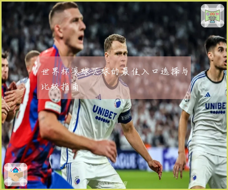 世界杯滚球买球的最佳入口选择与比较指南