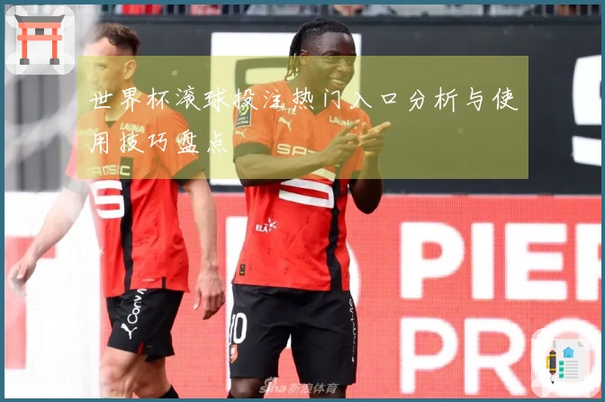 世界杯滚球投注热门入口分析与使用技巧盘点