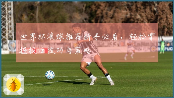 世界杯滚球推荐新手必看，轻松掌握投注技巧与策略